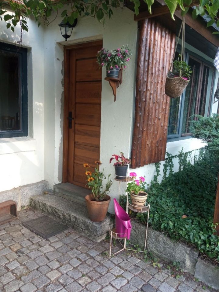 Działka rod Zabrze. Zdjęcie 8