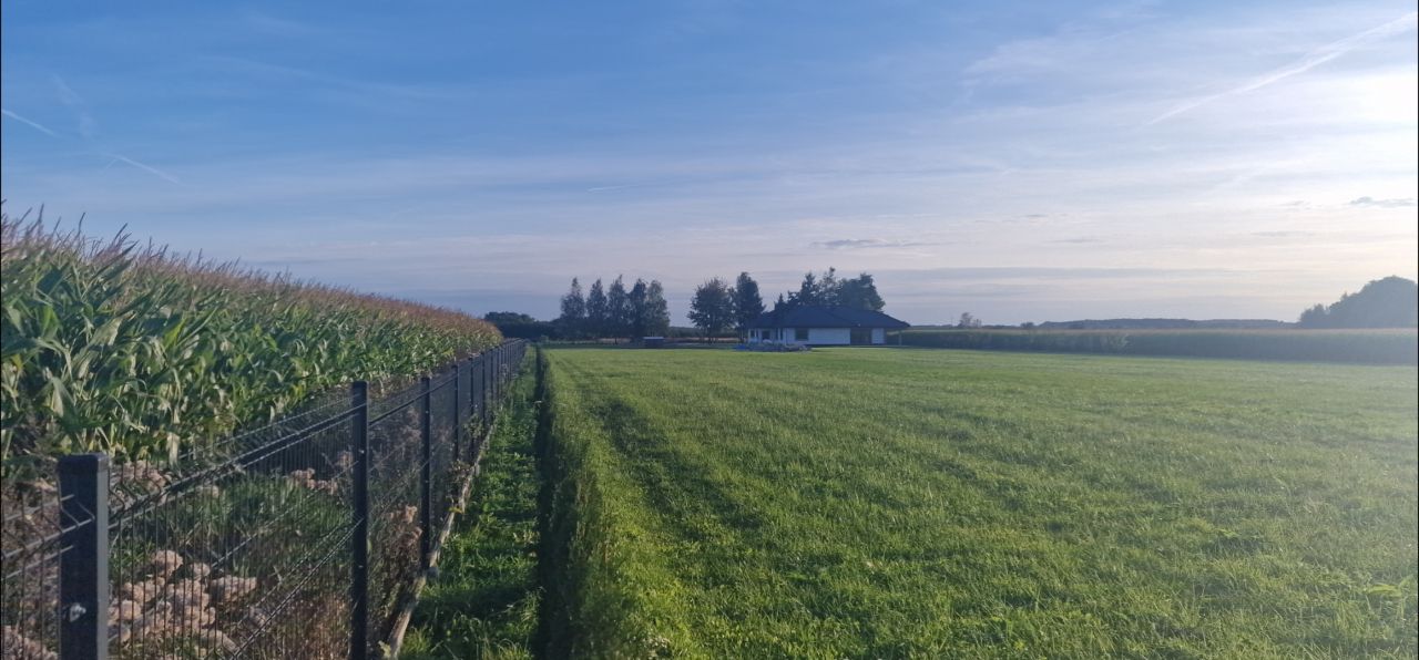 Działka budowlana Owczary, ul. Pęczelicka. Zdjęcie 3