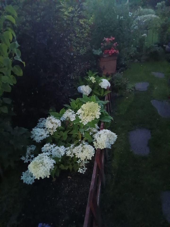 Działka rod Niekanin, Janiska. Zdjęcie 10