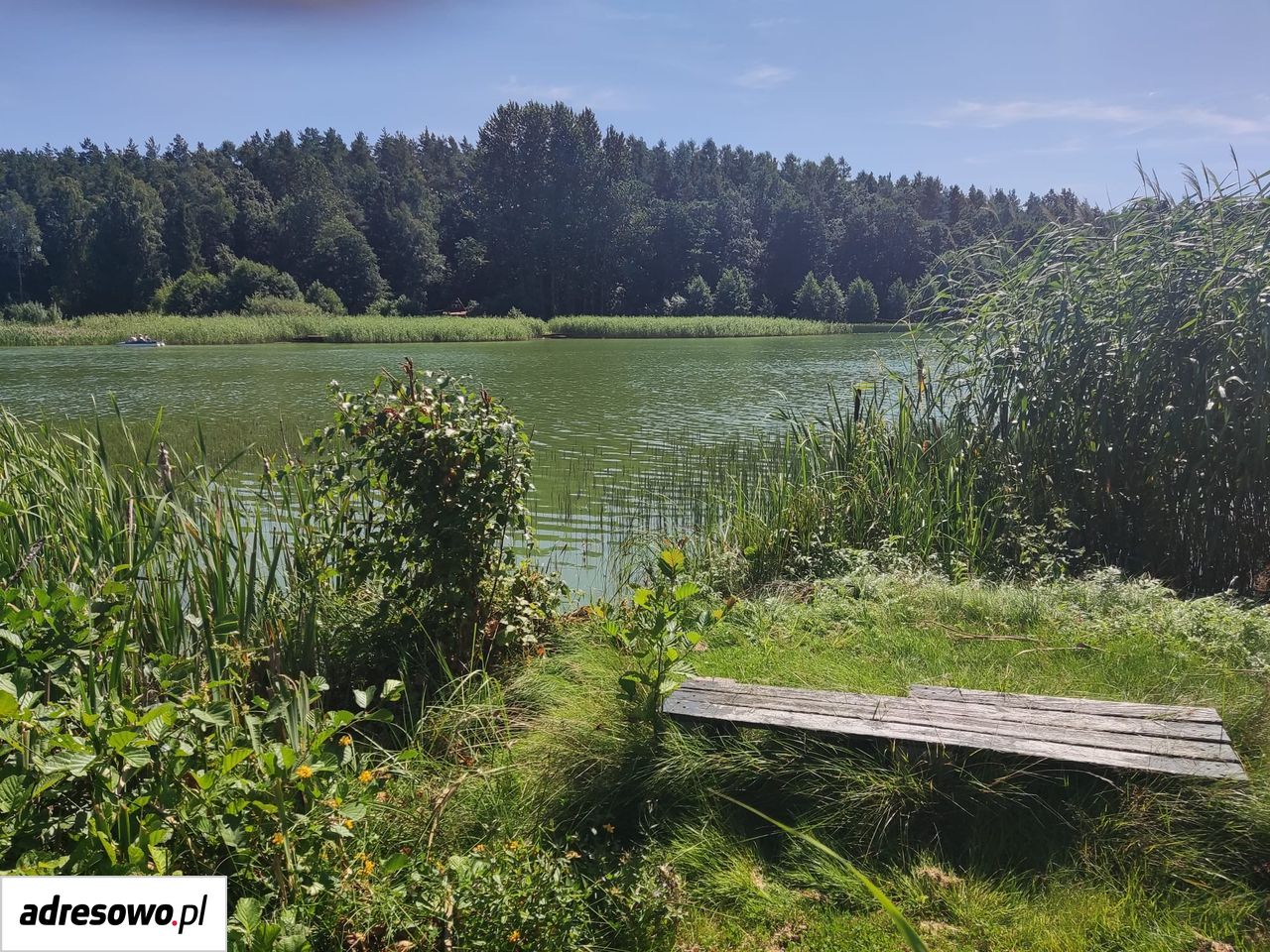 Działka rolno-budowlana Tuchom, ul. Jeziorna. Zdjęcie 15