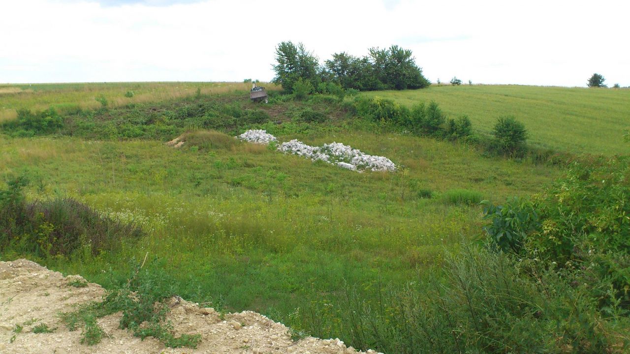 Działka rolno-budowlana Dzierzkowice-Rynek. Zdjęcie 3