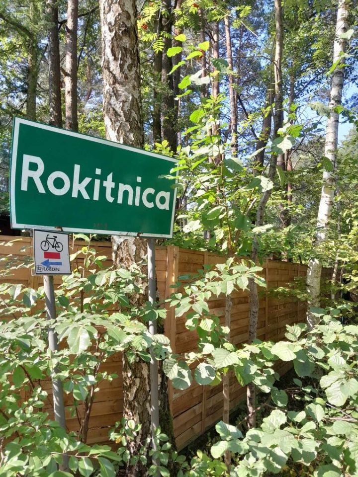 Działka rolno-budowlana Gucin. Zdjęcie 8