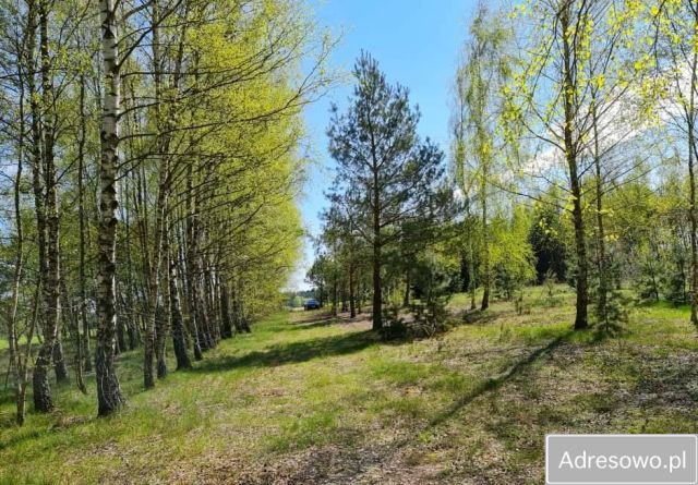 Działka budowlana Plewki. Zdjęcie 1