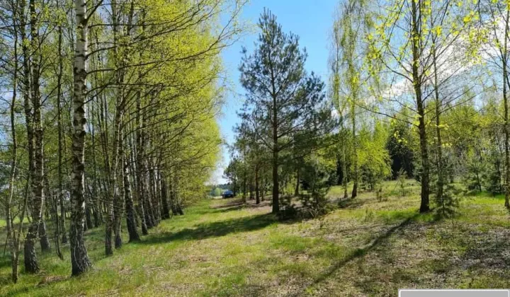 Działka budowlana Plewki