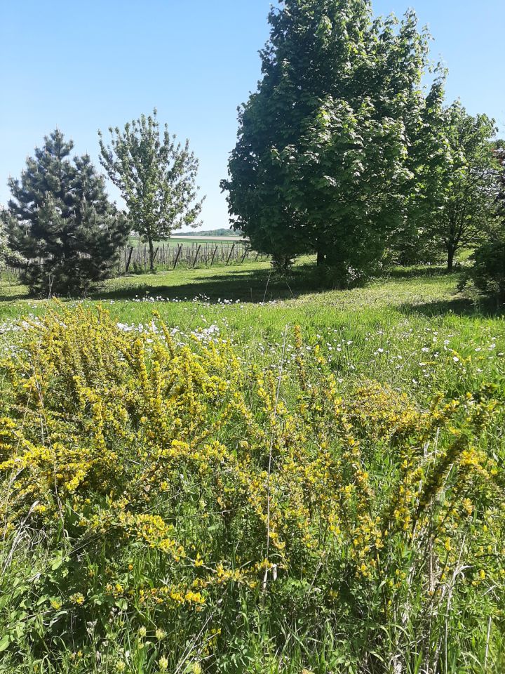 dom wolnostojący, 3 pokoje Bukowska Wola. Zdjęcie 34