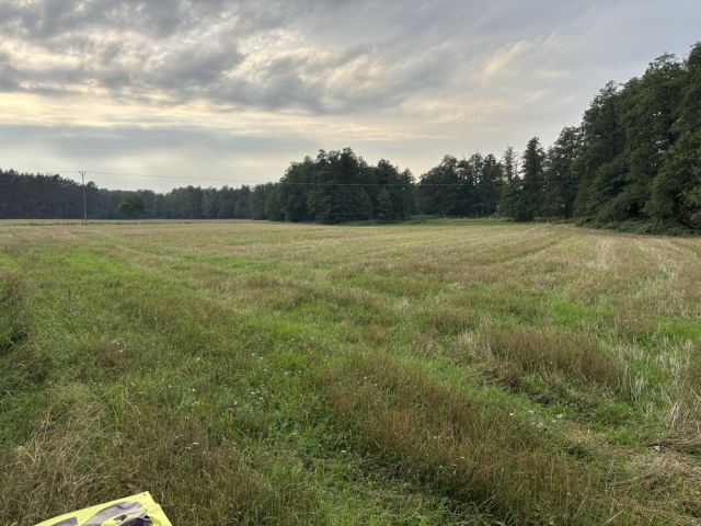 Działka rolno-budowlana Wólka Czarnogłowska. Zdjęcie 1