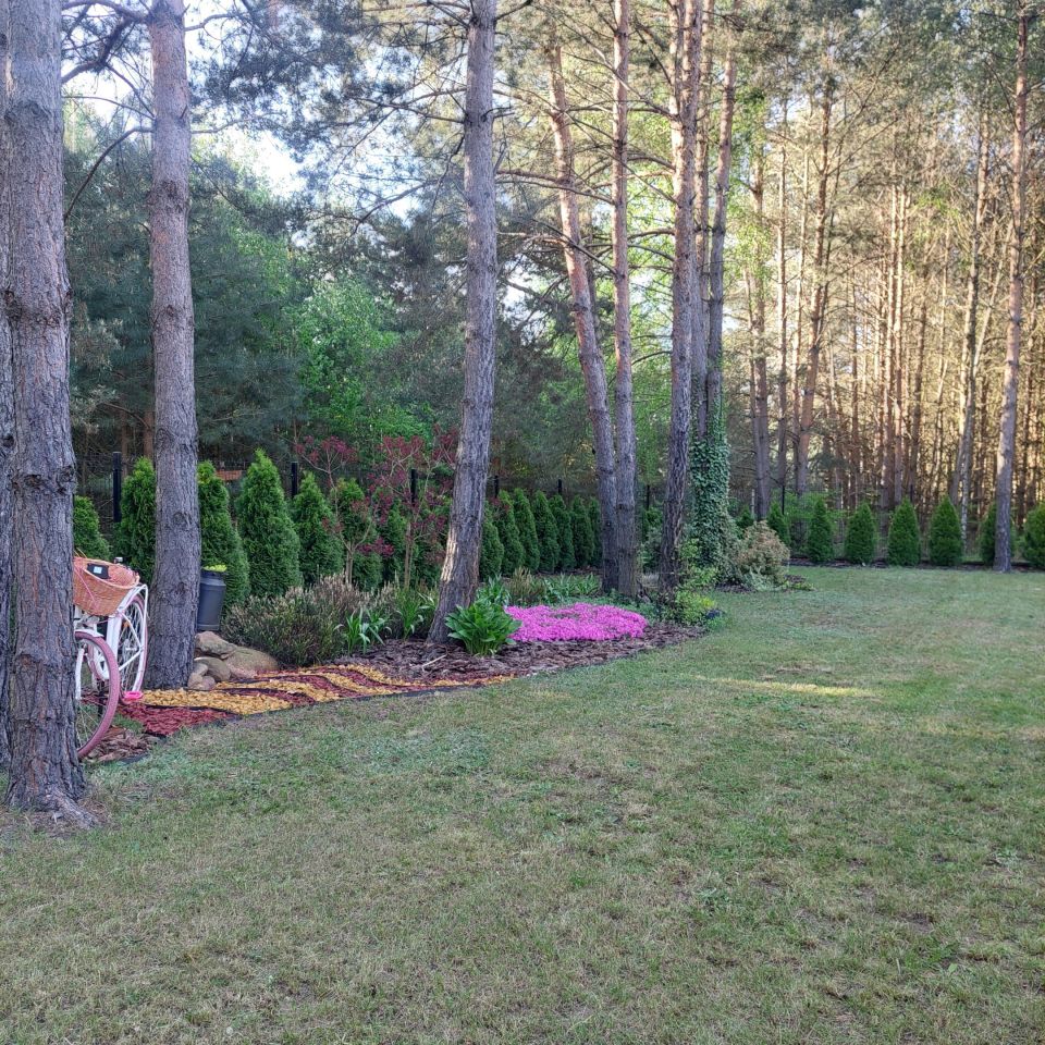 inny, 3 pokoje Mauryców, ul. Leśna. Zdjęcie 12