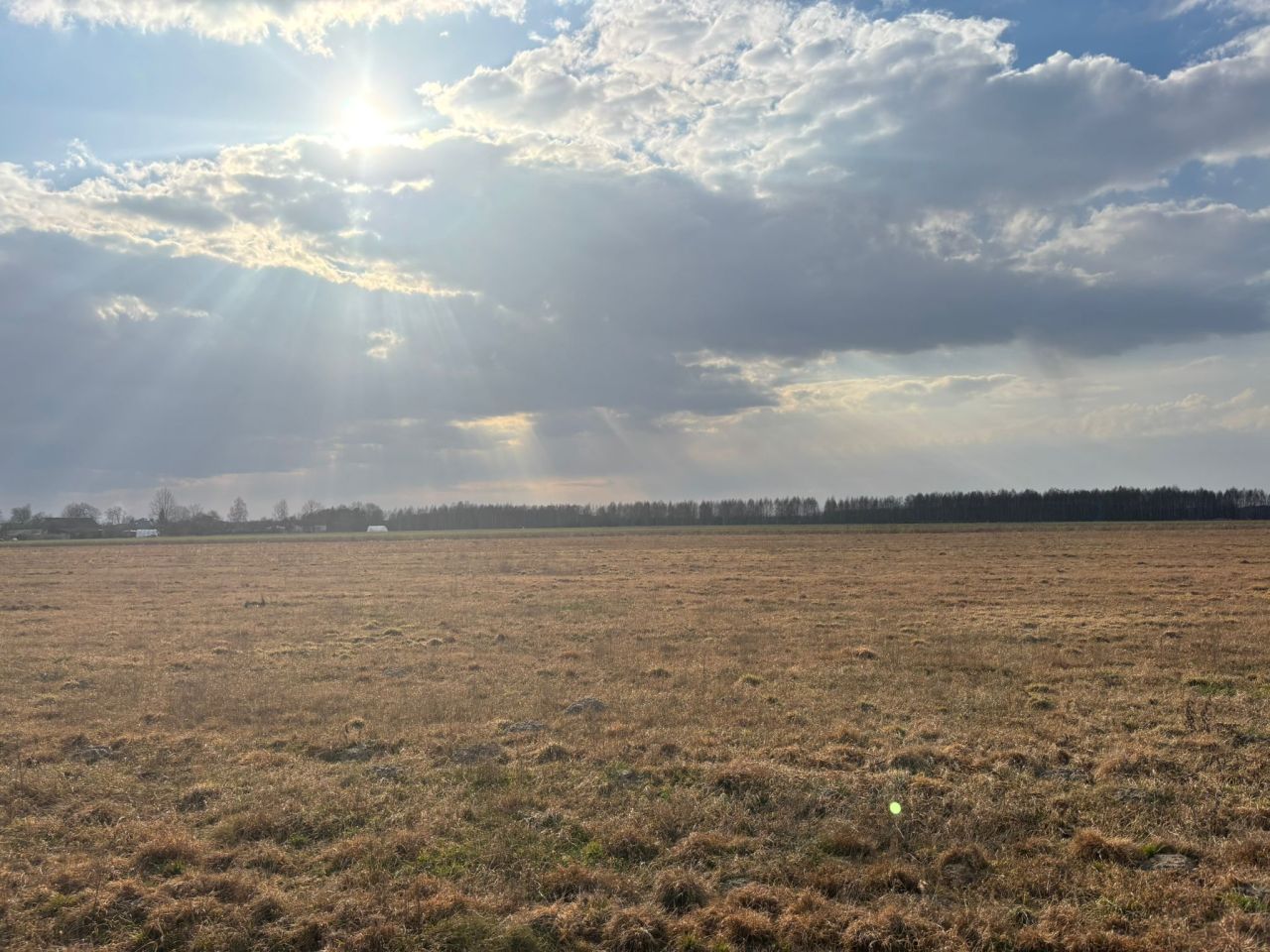 Działka budowlana Jankowice. Zdjęcie 4