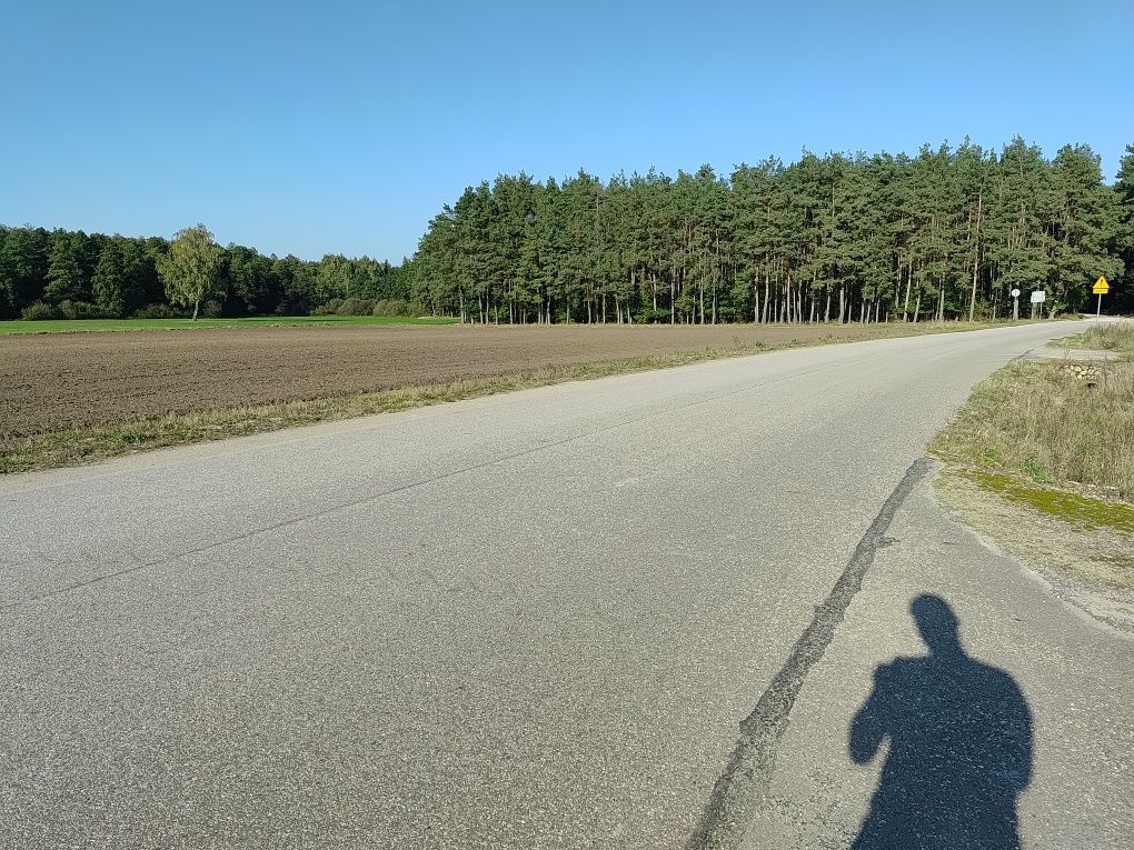 Działka budowlana Rodzone. Zdjęcie 6