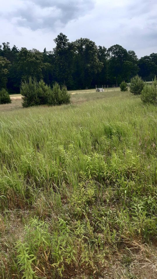 Działka budowlana Łęgowo. Zdjęcie 2