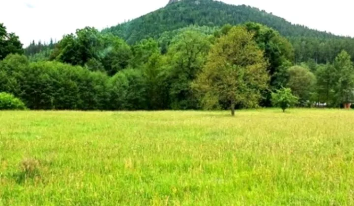 Działka budowlana Trzcińsko