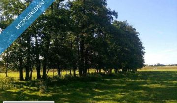 Działka siedliskowa Rażny