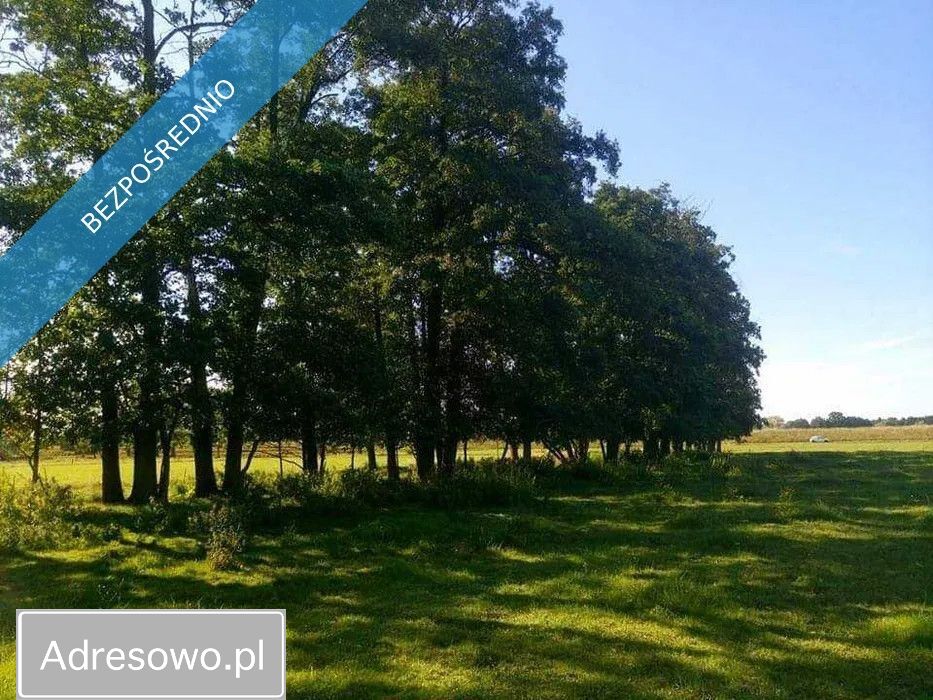 Działka siedliskowa Rażny. Zdjęcie 2