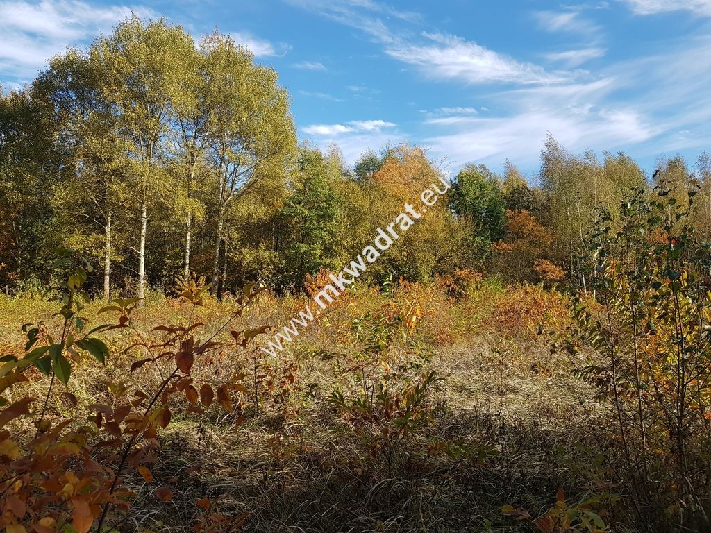 Działka budowlana Grabina Radziwiłłowska. Zdjęcie 3