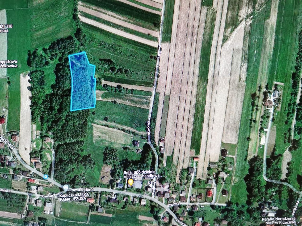 Działka Krzęcin. Zdjęcie 3