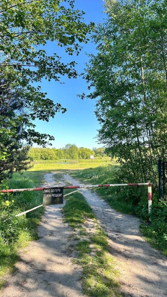 Działka rolna Tuszynek Majoracki. Zdjęcie 3