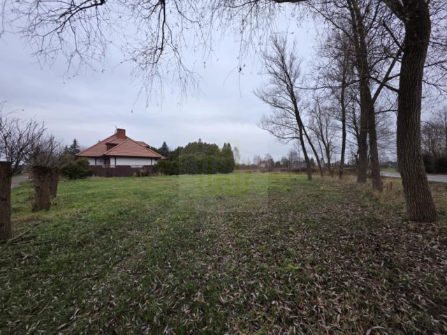 Działka budowlana Nieporęt. Zdjęcie 5