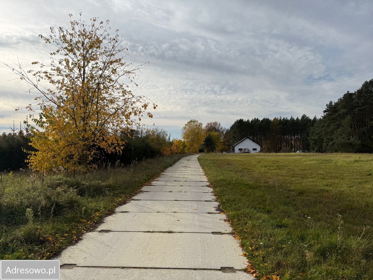 Działka budowlana Racimierz. Zdjęcie 6