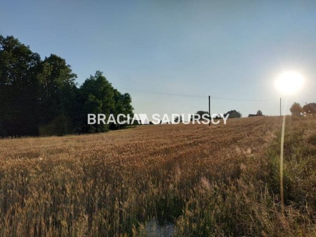 Działka rolna Dobczyce. Zdjęcie 15