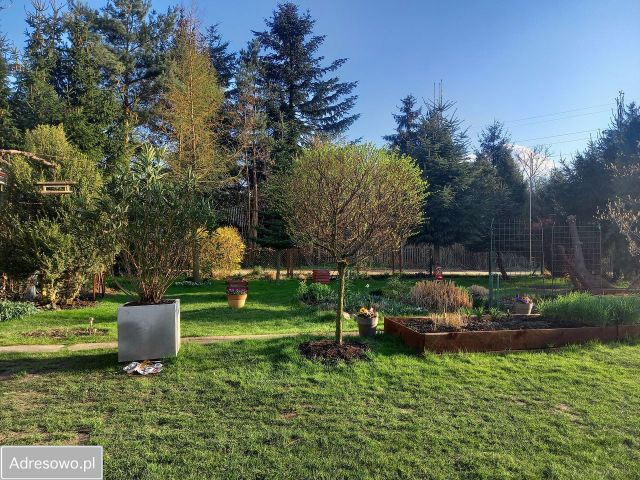 Działka rod Warszawa Mokotów, ul. Dłutowska. Zdjęcie 3