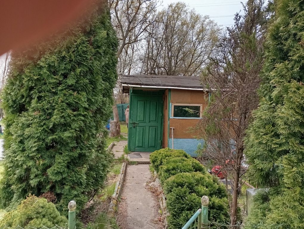 Działka rod Zduńska Wola, ul. Grzybowa. Zdjęcie 4