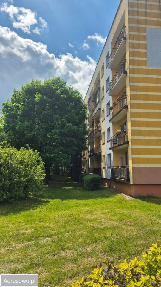 Mieszkanie 4-pokojowe Kielce Uroczysko, ul. Zofii Nałkowskiej. Zdjęcie 16