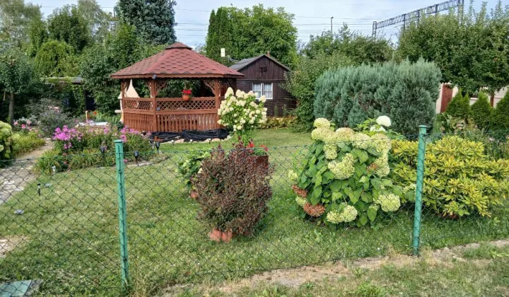 Działka rod Tarnowskie Góry, ul. Kasztanowa