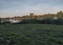 Działka rekreacyjna Rybiny. Zdjęcie 2