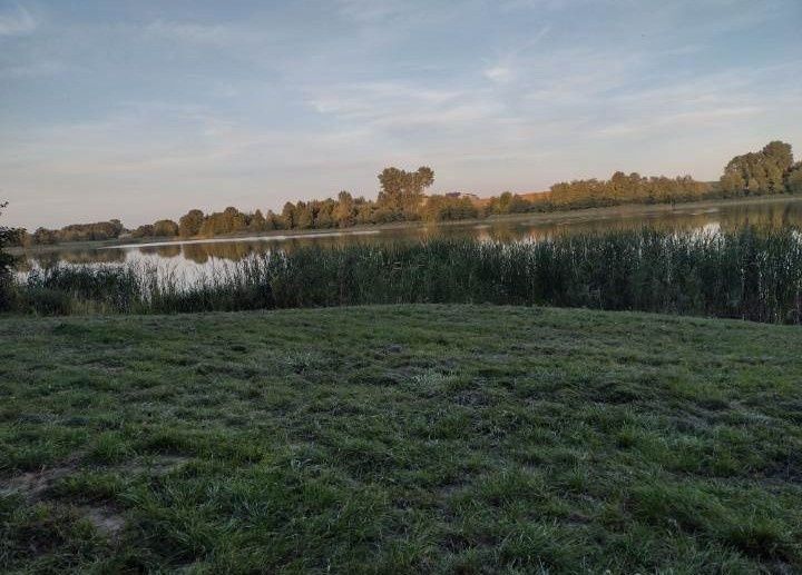 Działka rekreacyjna Rybiny. Zdjęcie 3