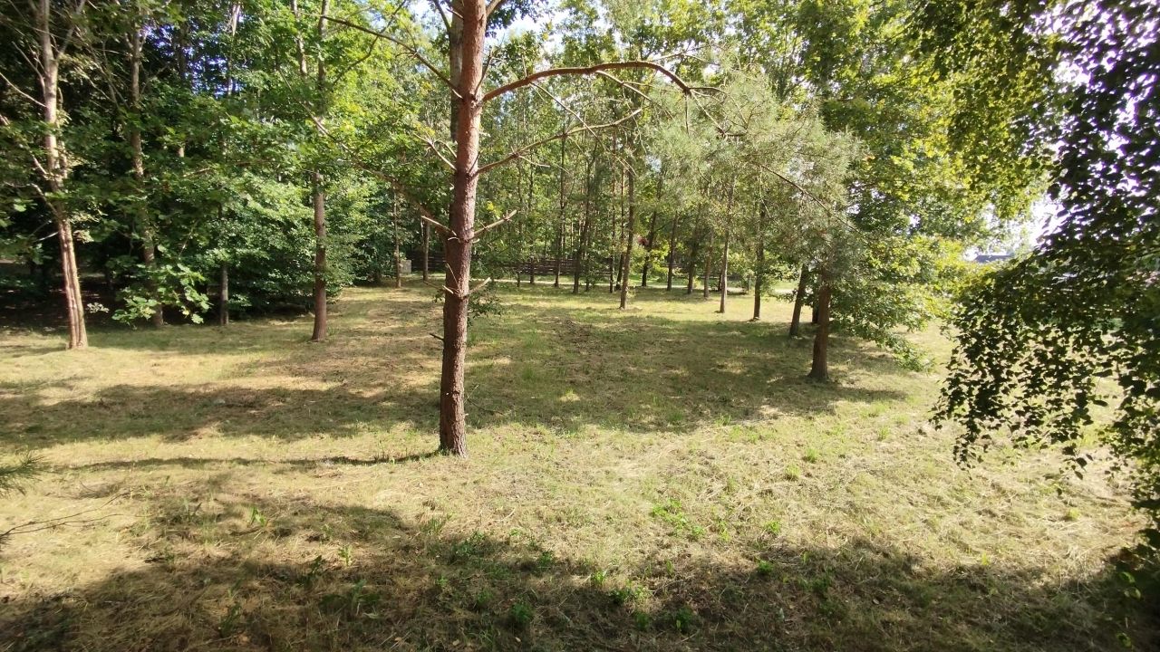 Działka budowlana Skarpa. Zdjęcie 7