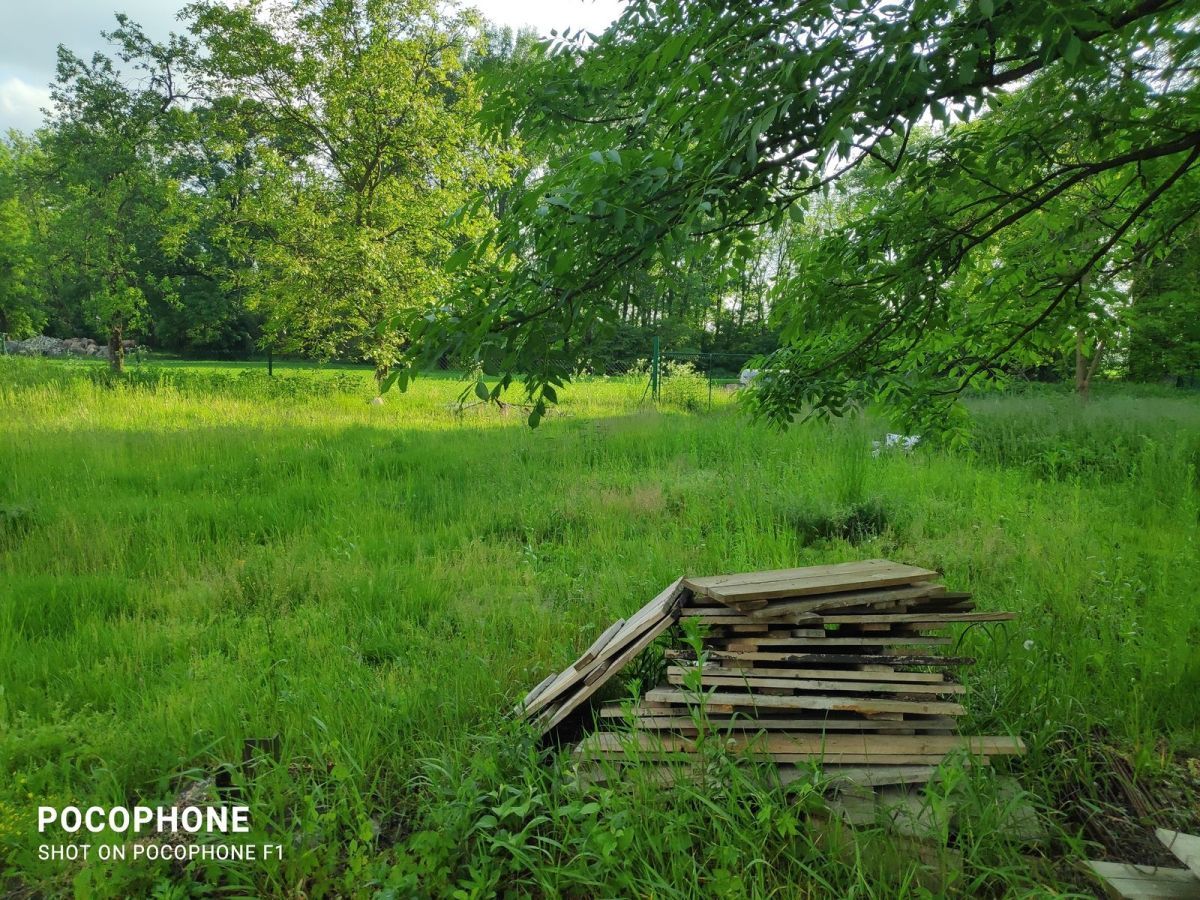 Działka rolna Grodziszów. Zdjęcie 5