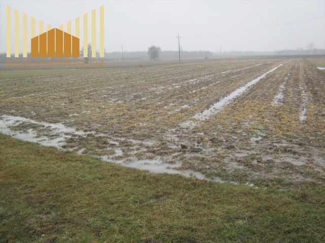 Działka rolna Kołbiel. Zdjęcie 1