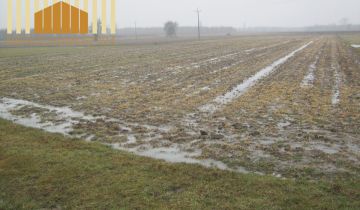 Działka rolna Kołbiel