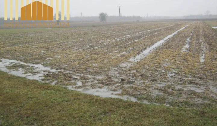 Działka rolna Kołbiel