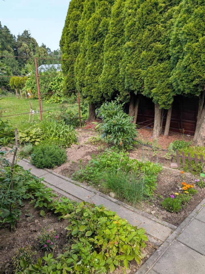 Działka rod Nowy Sącz Falkowa, ul. Botaniczna. Zdjęcie 17