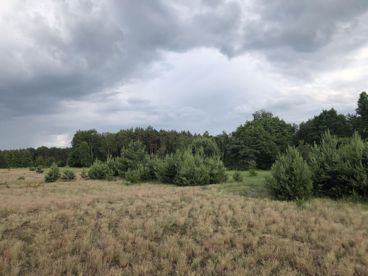 Działka budowlana Kolankowo, ul. Sielanka. Zdjęcie 9
