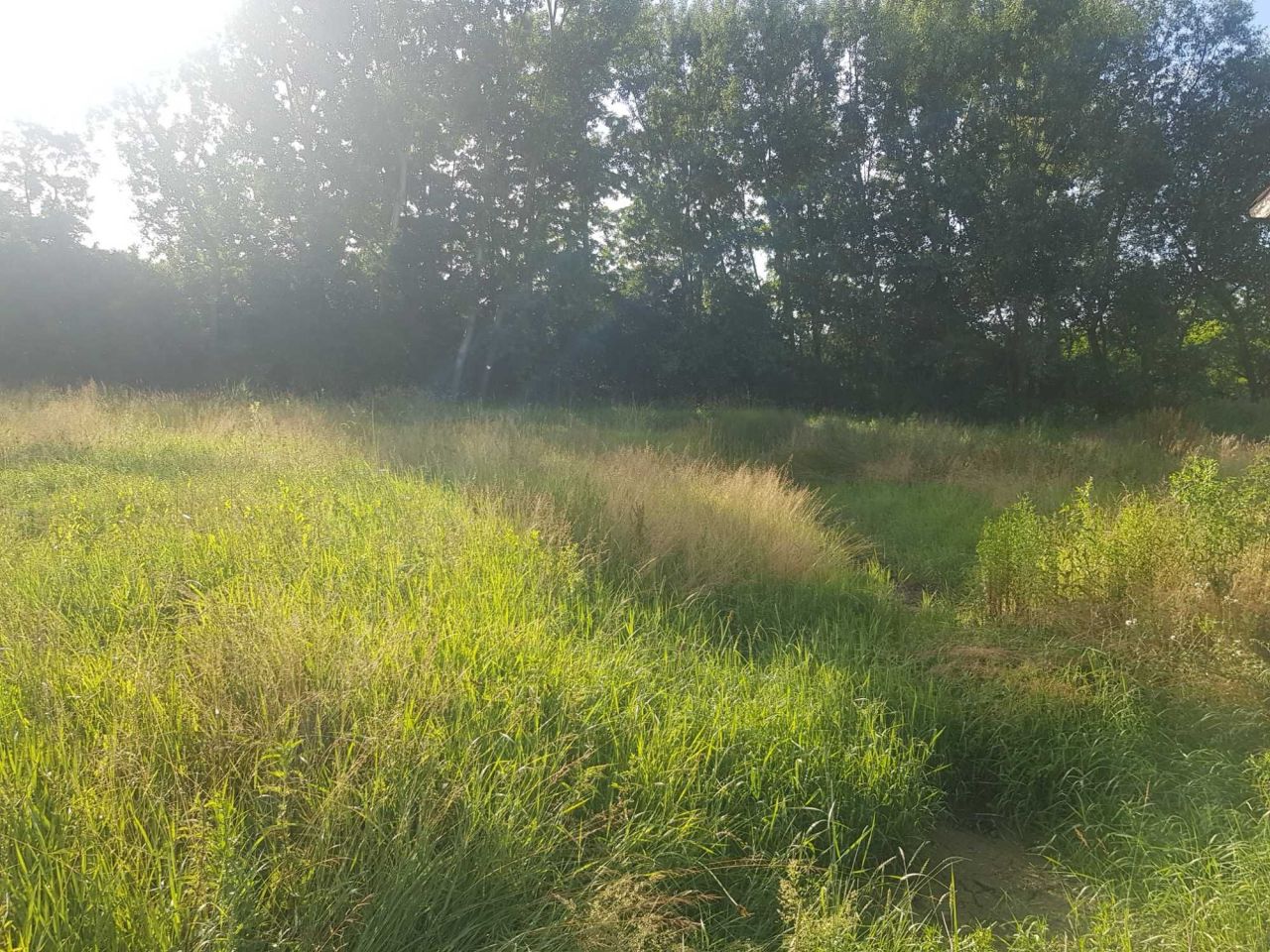 dom wolnostojący, 2 pokoje Bejsce. Zdjęcie 6