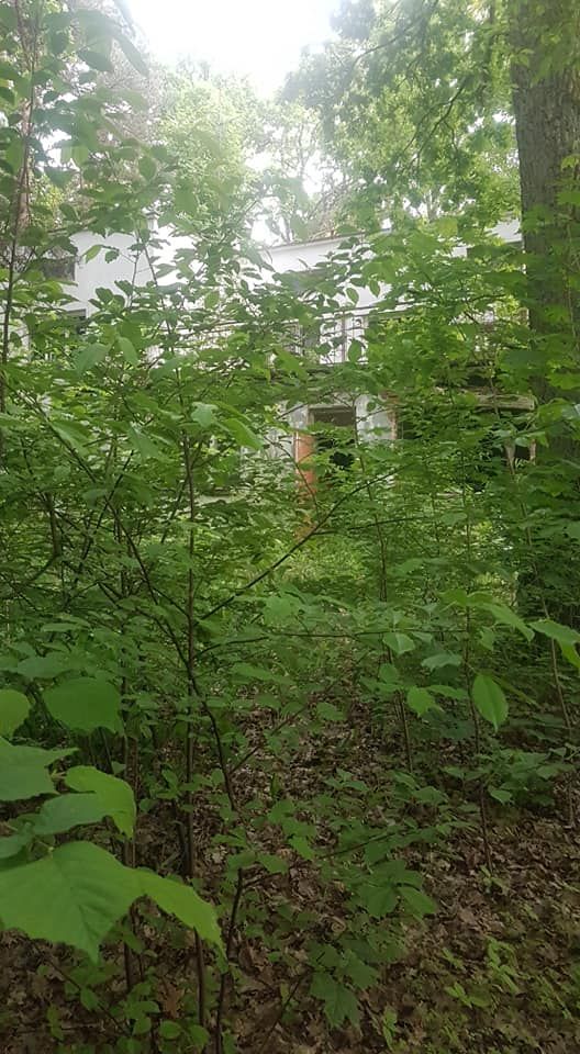 Działka budowlana Zalesie Górne, ul. Młodych Wilcząt. Zdjęcie 5