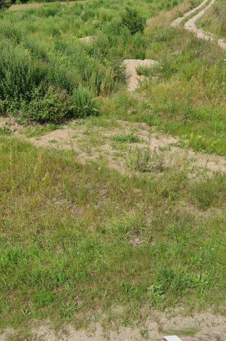 Działka budowlana Łomia. Zdjęcie 1