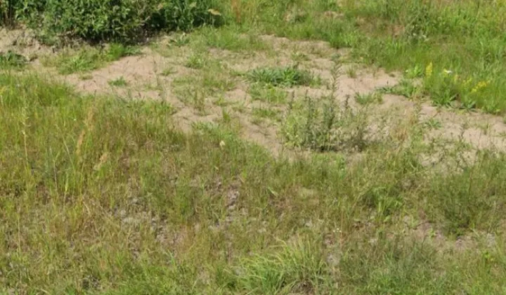 Działka budowlana Łomia