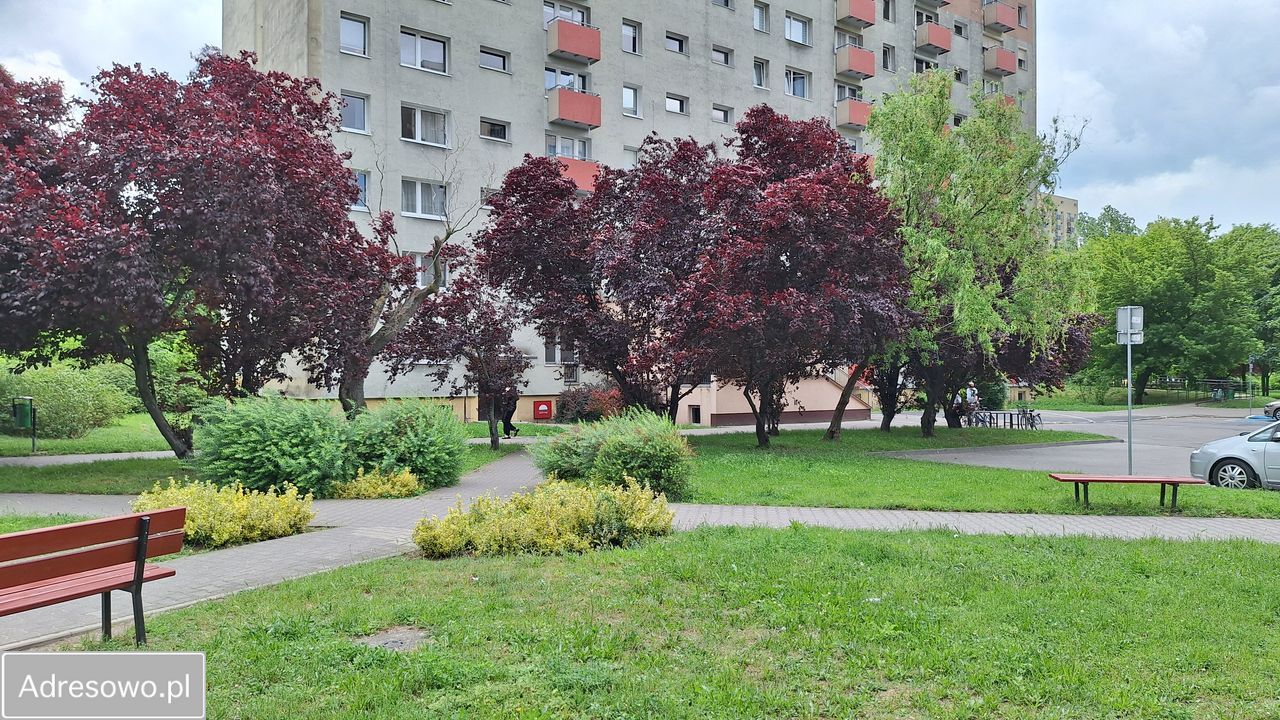 Mieszkanie 3-pokojowe Poznań Winogrady, os. Zwycięstwa. Zdjęcie 19