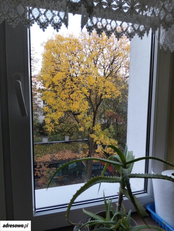 Mieszkanie 1-pokojowe Warszawa Górny Mokotów, ul. Jarosława Dąbrowskiego. Zdjęcie 9