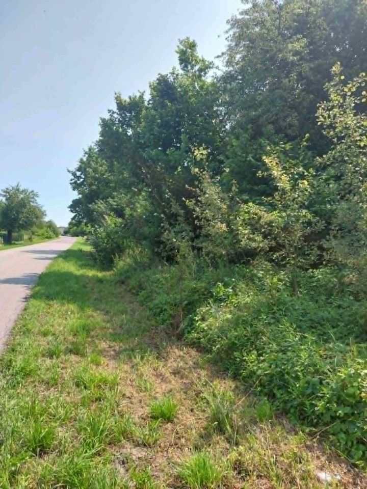 Działka rolno-budowlana Dąbrowa Goszczewicka. Zdjęcie 3