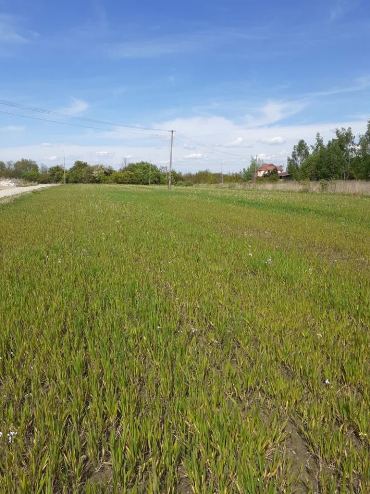 Działka budowlana Radom Kierzków, ul. Marglowa