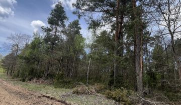 Działka leśna Stare Modzele