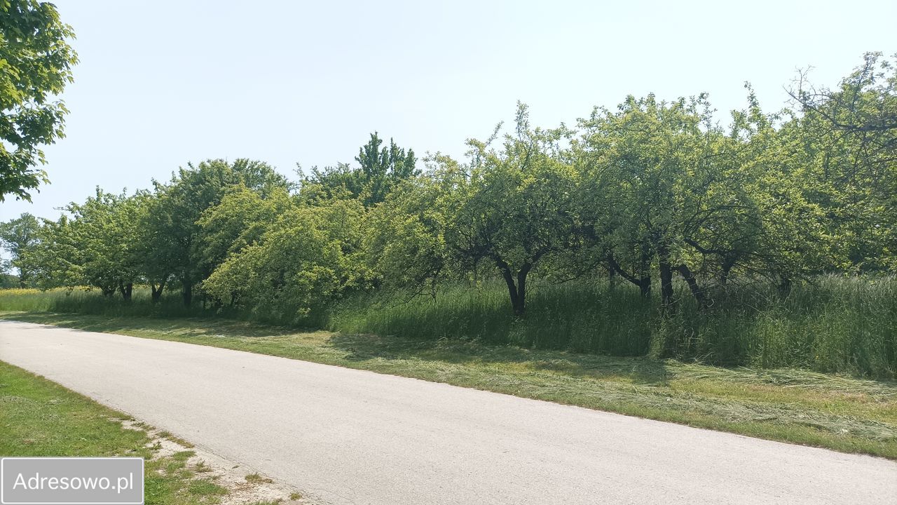 Działka budowlana Góry. Zdjęcie 6