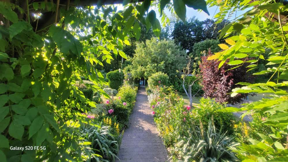 Działka rod Żary, ul. Pszenna. Zdjęcie 7