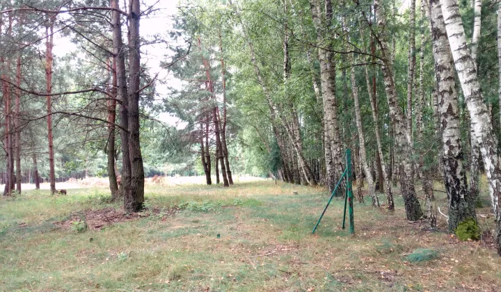 Działka rekreacyjna Władzin, ul. Siennicka