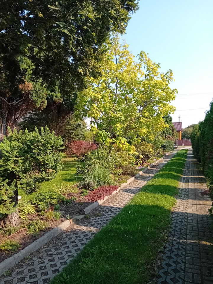 dom wolnostojący, 5 pokoi Grabina Radziwiłłowska, ul. Duża. Zdjęcie 4