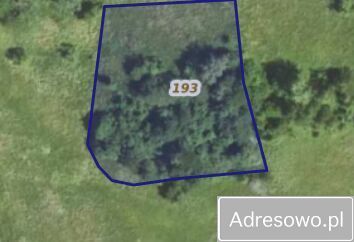 Działka rolna Lubcza. Zdjęcie 1